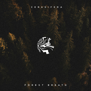 1024午夜福利午无码视频在线
