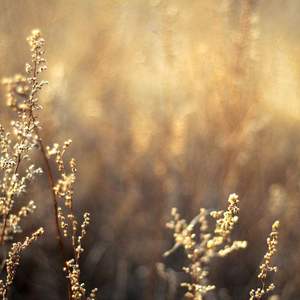 1024午夜福利午无码视频在线
